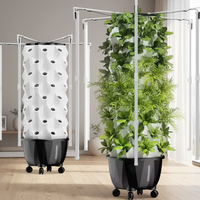 Système de culture hydroponique compact et écologique pour ananas, légumes et fruits, pour l'intérieur, avec pompe et LED en option
