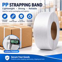 Sangle en polypropylène verte de 60 kg à 180 kg de force de traction, 0,6 mm, emballage automatique complet, durable, biodégradable