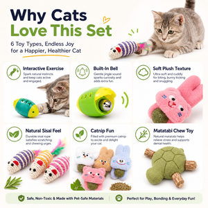 Jouet interactif pour chat en sisal tressé, écologique et durable – Résistant aux morsures, anti-ennui, nettoyage des dents, usage quotidien en intérieur - Product Image 6
