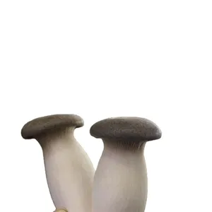 Detan 중국 공장 병에 재배 이국적인 신선한 pleurotus 홍진 버섯 도매 버섯