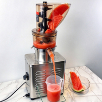 Groente- en fruitpers, sinaasappelpers, commerciële multifunctionele sapmachine, grote opening, koude pers, kauwende elektrische slowjuicer met langzame motor