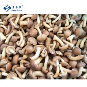 Sinocharm EU Standard Frozen Mushroom Factory 1.5-2.5cm IQF Nameko Whole Mushroom Frozen Nameko