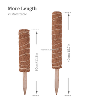 Support de plante en fibre de coco Coir Totem Pole, auto-arrosant, extensible, pour jardin intérieur et extérieur