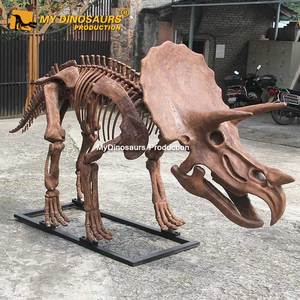 <span class=keywords><strong>Esqueleto</strong></span> <span class=keywords><strong>de</strong></span> <span class=keywords><strong>Triceratops</strong></span> Realista, Fósil <span class=keywords><strong>de</strong></span> Dinosaurio para Exhibición en Museo, Modelo Dino DS046, en Venta - Product Image 4
