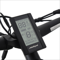 EZREAL 2022 Modèle 750W Pédale Assistée Suspension Complète 48V Vélo de Montagne avec Moteur de Moyeu Arrière Vélo Électrique à Vendre