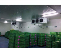 Équipement complet de chambre froide 50 tonnes, prix industriel, machines de stockage frigorifique, chambre froide à accès piéton pour légumes et aliments - Product Image 5