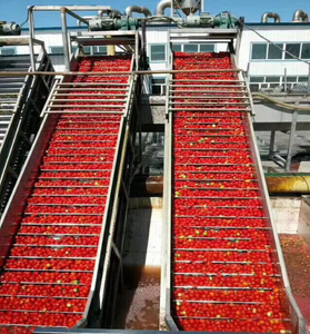 Sauce de pâte de tomate en vrac en conserve en étain et tambour - Product Image 5