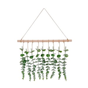 Plantas colgantes <span class=keywords><strong>de</strong></span> <span class=keywords><strong>eucalipto</strong></span> con palo <span class=keywords><strong>de</strong></span> madera, plantas verdes <span class=keywords><strong>de</strong></span> decoración del hogar y pared - Product Image 1