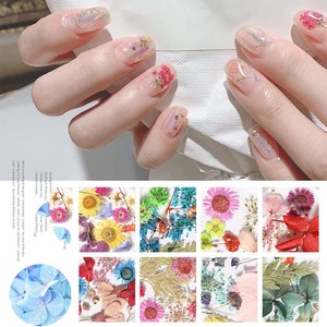 <span class=keywords><strong>Flores</strong></span> <span class=keywords><strong>secas</strong></span> prensadas Nail Art, decoración 3D de <span class=keywords><strong>flores</strong></span> <span class=keywords><strong>secas</strong></span> reales para <span class=keywords><strong>uñas</strong></span> <span class=keywords><strong>acrílicas</strong></span> en Gel UV - Product Image 2