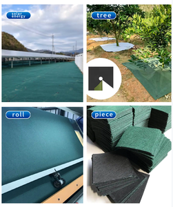 Rollo de Tela No Tejida para Instalación de Paneles Solares, 250g 300g 500g, Embalaje en Rollo, Estilo Liso, Tela Anti-Planta, 100% Poliéster, Directo de Fábrica - Product Image 4