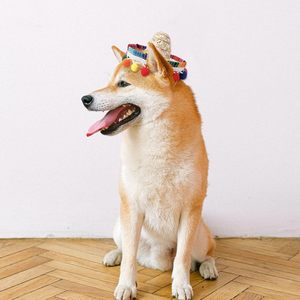 Sombrero <span class=keywords><strong>de</strong></span> Paja para Mascotas Pafu Carnival, con Bolas Coloridas y Diseño <span class=keywords><strong>de</strong></span> Cordón Ajustable, Ideal para Halloween, Cumpleaños, Playa y Fotos - Product Image 4