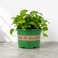 Pots en plastique PP pour pépinière, jardin, conteneurs pour plantes, trou de drainage, légers, durables, utilisation en extérieur, biodégradables, 1,2-7,9 L