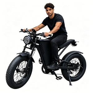 Bicicleta Eléctrica Retro Todoterreno de Alto Rendimiento con Neumáticos Anchos, Motor sin Escobillas de 48V, Cuadro de Acero Negro de 500W para Adultos, Ciudad y Montaña - Product Image 1