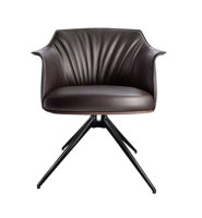 Base de canapé robuste 4 étoiles, base de chaise pivotante en fer noir semi-brillant pour fauteuils de salon