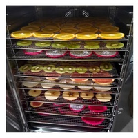 Food Grade Mini Kleine Keuken Thuisgebruik Huishoudelijke Elektrische Vruchten Drogen En Verpakking Machine Fruit Droger Dehydrator Drogen