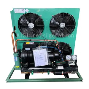 15hp Low Temperature Air-cooled Flat Plate Type Refrigeration Equipment Copeland Compressor Unit Used For Refrigeration