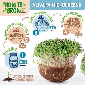 Hữu cơ 200 gam microgreens cỏ linh lăng vườn gieo Gói Nhà Máy Kit cổ điển & hiện đại lợn nái cho trồng sàn hoặc treo Cách sử dụng - Product Image 6