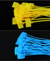 Paquete Premium de 100 Bridas de Nylon PA66 de 150 mm con Etiqueta para Escribir, Multicolores, para Identificación y Agrupación de Cables