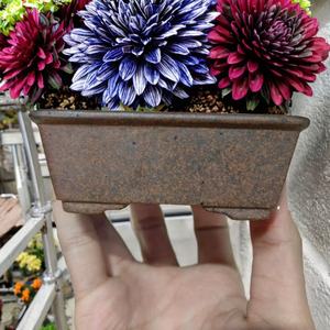 Venta caliente hecho a mano Yixing Gold Sand Rec Tan <span class=keywords><strong>Gular</strong></span> Bonsai diseño clásico estilo Popular para plantas de bonsái - Product Image 4