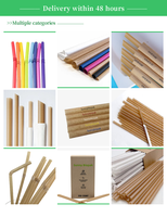 Pailles à boire jetables en bagasse de canne à sucre biodégradables et écologiques, approuvées par la FDA, pour le camping, les fêtes et les mariages