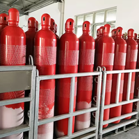 Bouteilles de gaz CO2 en acier sans soudure pour usage incendie (dioxyde de carbone)