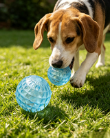 Jouet pour chien en forme de balle à texture diamantée transparente, balle interactive en plastique dur pour animaux de compagnie, jouet d'entraînement durable pour tous les chiens