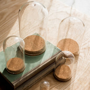 Купольная консервированная Цветочная Роза, оптовая продажа, мини прозрачная геодезическая Декор для дома, стеклянный цилиндр народного искусства - Product Image 3