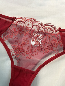 Nouveautés d'automne, vente flash, lingerie sexy pour femmes, broderie florale en dentelle, lingerie transparente sexy, ensemble de deux pièces, vêtements intimes - Product Image 4