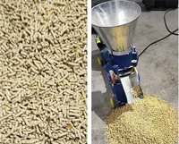 Machine de fabrication d'aliments pour animaux de 200-300 kg/h, machine à granulés pour aliments de volaille, pour fermes d'élevage
