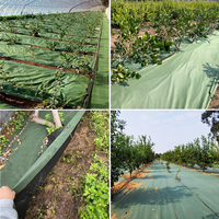 Enon 2026 Ramah Lingkungan Biodegradable 4FTx165FT Bahan PP Non Woven Bernapas Penahan Gulma Gartenvlies Gegen Unkraut ISO Pertanian