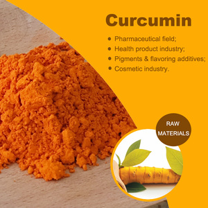 China fornecimento granel 95% açafrão curcumina extrato pó curcumina pó USP - Product Image 3