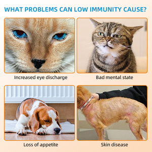 Custom Private Label Cat Immune Support <strong>Lysine</strong> Powder Allergy Relief Supplement With Omega Immune And Respiratory Support - Product Image 4