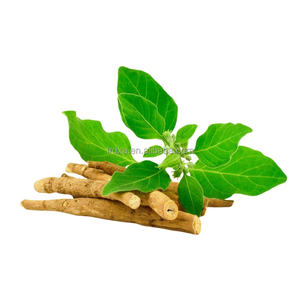 Groothandel Kruidenextract <span class=keywords><strong>Ashwagandha</strong></span> Wortelpoeder <span class=keywords><strong>Ashwagandha</strong></span> Wortel Extract <span class=keywords><strong>Himalaya</strong></span> <span class=keywords><strong>Ashwagandha</strong></span> - Product Image 3