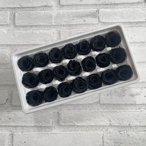 Testa di Rosa Naturale Conservata di Grado A, 2-3 cm, Multicolore, Fiore Reale Eterno per Cupola di Vetro, Confezione Regalo Fai-da-Te, Ornamento per la Casa - Product Image 6