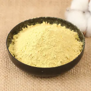 Produttore professionale puro naturale organico zenzero in polvere economico sapore originale condimenti spezie condimento - Product Image 2