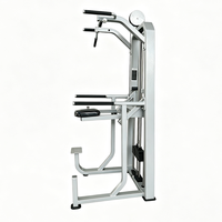 Machine Commerciale Multifonctionnelle d'Entraînement en Salle de Sport pour Tractions et Dips, Équipement pour Exercices du Dos, des Triceps et de la Poitrine, Direct Usine, Certifié CE