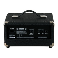Speaker Bass Gitar Elektrik 100W Kualitas Tinggi Amplifier Speaker Gitar MICRO-CL/BA-100