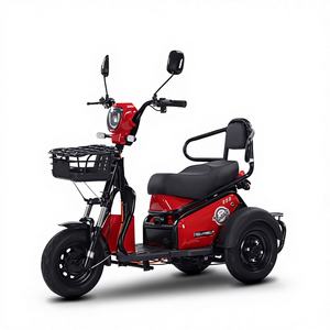 Tricycle électrique pour les loisirs et les trajets quotidiens avec absorption des chocs et stabilité - Product Image 1