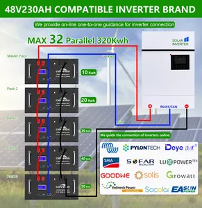 CERRNSS 10Year Warranty 6000 Cycles 51.2V 15Kwh Akku Solar Inverter Lithium Ion Energy Storage Battery 48V 300Ah LiFePO4 Battery