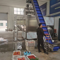 5T- 6 T/h Aardappelstoomschilmachine Stoomschiller Voor Bevroren Frietjes Frites Friet Lijn Aardappelchips Aardappelpuree Vlokken Lijn