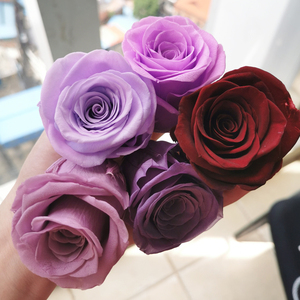 Rosas <span class=keywords><strong>Preservadas</strong></span> Naturales al por Mayor de Fábrica de Kunming, Cabezas de Rosas <span class=keywords><strong>Preservadas</strong></span> y Estabilizadas - Product Image 2