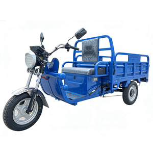 Motocicleta Eléctrica <span class=keywords><strong>de</strong></span> Carga <span class=keywords><strong>de</strong></span> 3 Ruedas, Chasis Personalizado, Rodamientos, Neumáticos, Camper, 60V 1000W, Trabajo Pesado Agrícola - Product Image 1