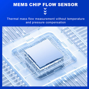 カスタム熱式質量流量計高圧バージョンP1あり OEM・ODM対応 - Product Image 2