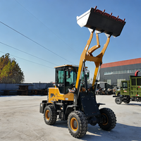 Produttore Europeo di Pale Gommate con Certificazione CE EPA, Motore Diesel, Mini Trattore 4WD, Caricatore Frontale, Piccole Pale Cingolate Compatte