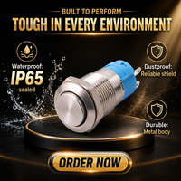 Interrupteur à bouton-poussoir en acier inoxydable de 12 mm, IP65, SPDT, à réinitialisation automatique, montage sur panneau, momentané, contrôle industriel, OEM personnalisé, 3A AC 250V