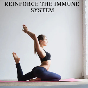 Factory Direct Chlorophyll Capsules Promote Healthy Digestion to Support Immune Healthy with Dietary <b>Supplement</b> - Product Image 3