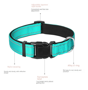 <span class=keywords><strong>Collar</strong></span> Reflectante de Nailon para Perros Pequeños y Medianos - Todas las Estaciones - Product Image 2