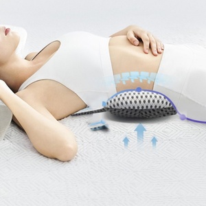 Almohadas 3D para la Cintura, Almohadas Cervicales Cómodas, Almohada para el Cuello con Relleno de Algodón PP y Cáscara de Trigo Sarraceno, Soporte Lumbar Desmontable - Product Image 2