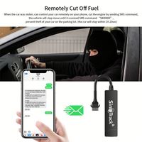 Rastreador GPS SinoTrack de bajo costo y buena calidad, antipérdida, con aplicación de plataforma de software de monitoreo de seguimiento
