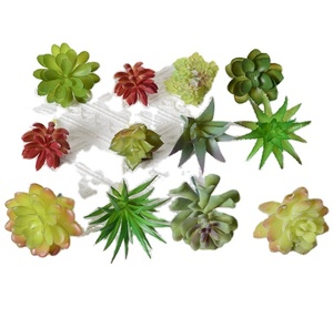 Оптовая продажа, домашний декор, мини-пластиковый искусственный суккулент, садовый декор, трава, комнатные суккуленты - Product Image 1